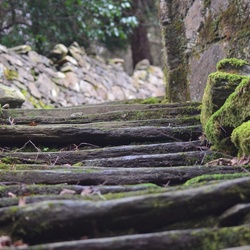 2013-12 Wales/Bryn Gwynant/DSC_0169.JPG